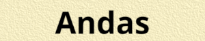 Lungplus bildspel